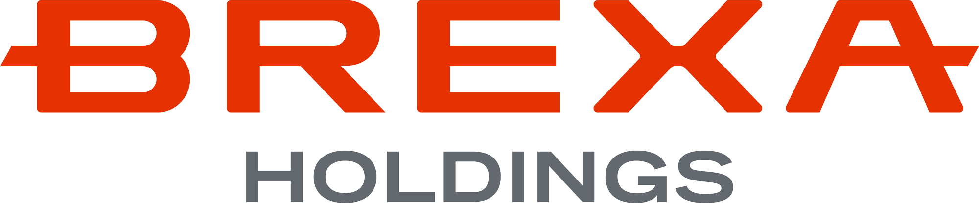 株式会社BREXA Holdings